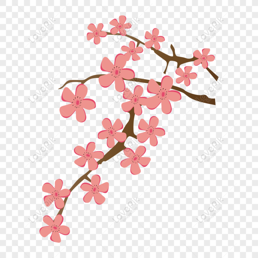 Detail Gambar Bunga Pink Png Gambar Animasi Bunga Merahmuda Png Nomer 36