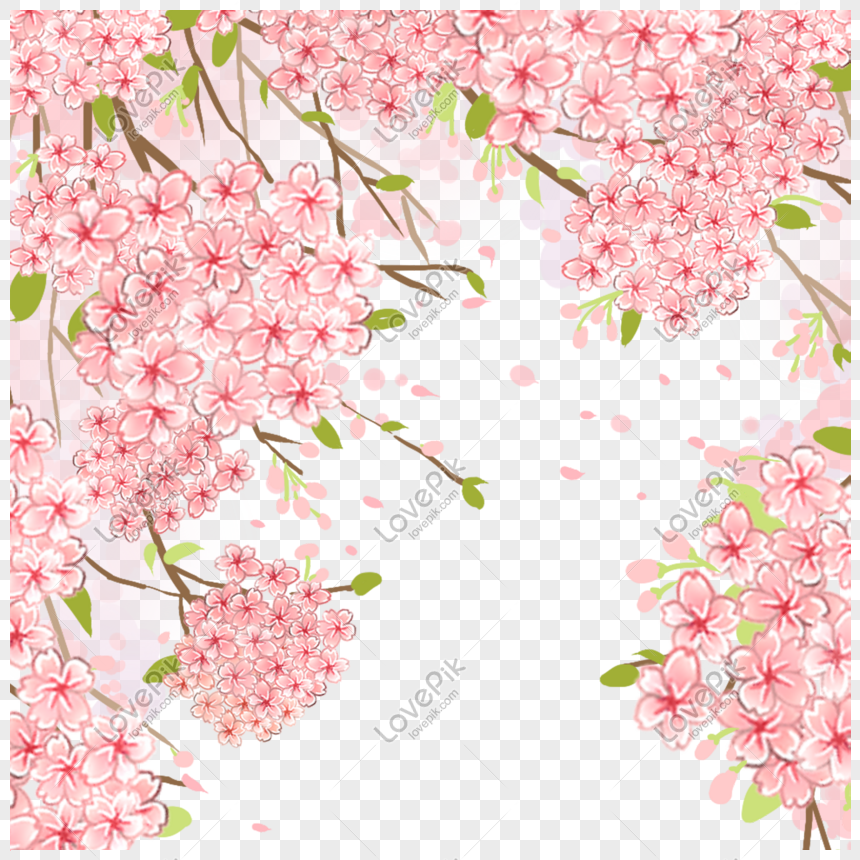 Detail Gambar Bunga Pink Png Gambar Animasi Bunga Merahmuda Png Nomer 45