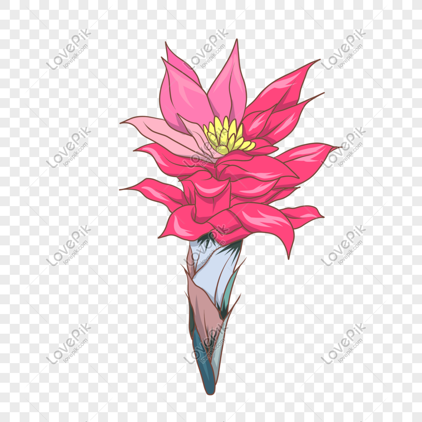Detail Gambar Bunga Pink Png Gambar Animasi Bunga Merahmuda Png Nomer 56