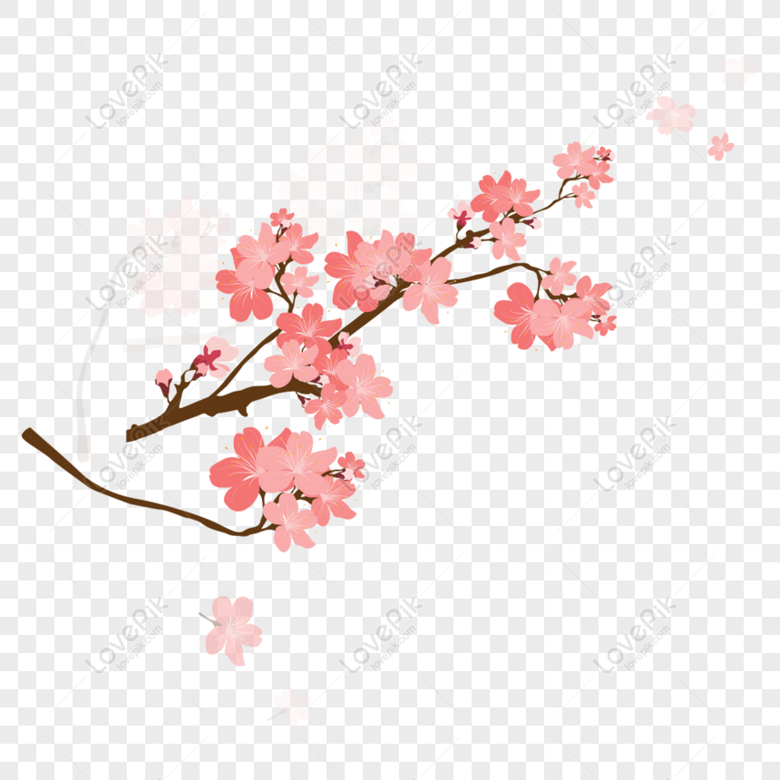 Detail Gambar Bunga Pink Png Gambar Animasi Bunga Merahmuda Png Nomer 58