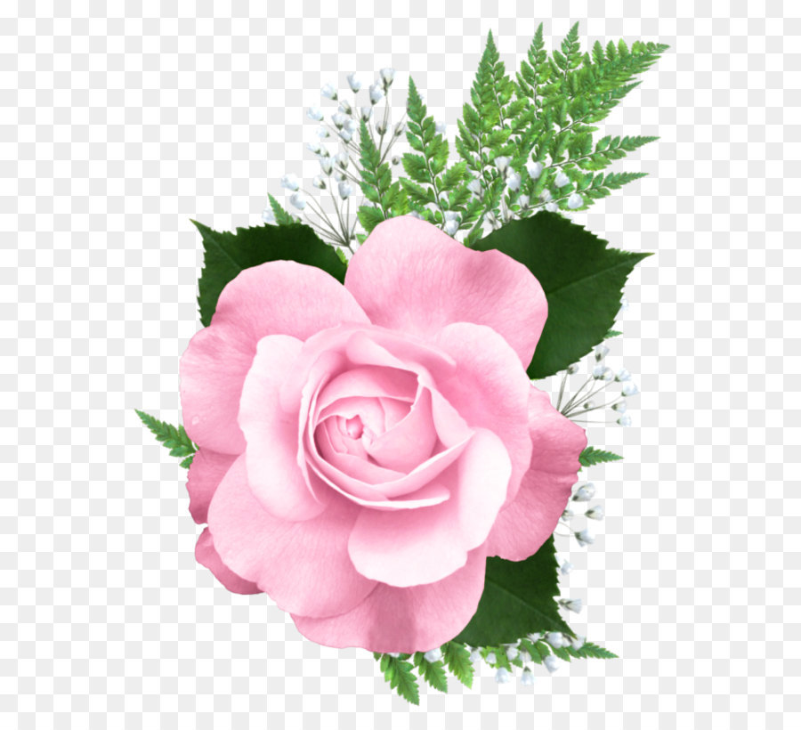Detail Gambar Bunga Pink Png Gambar Bunga Merahmuda Png Nomer 27