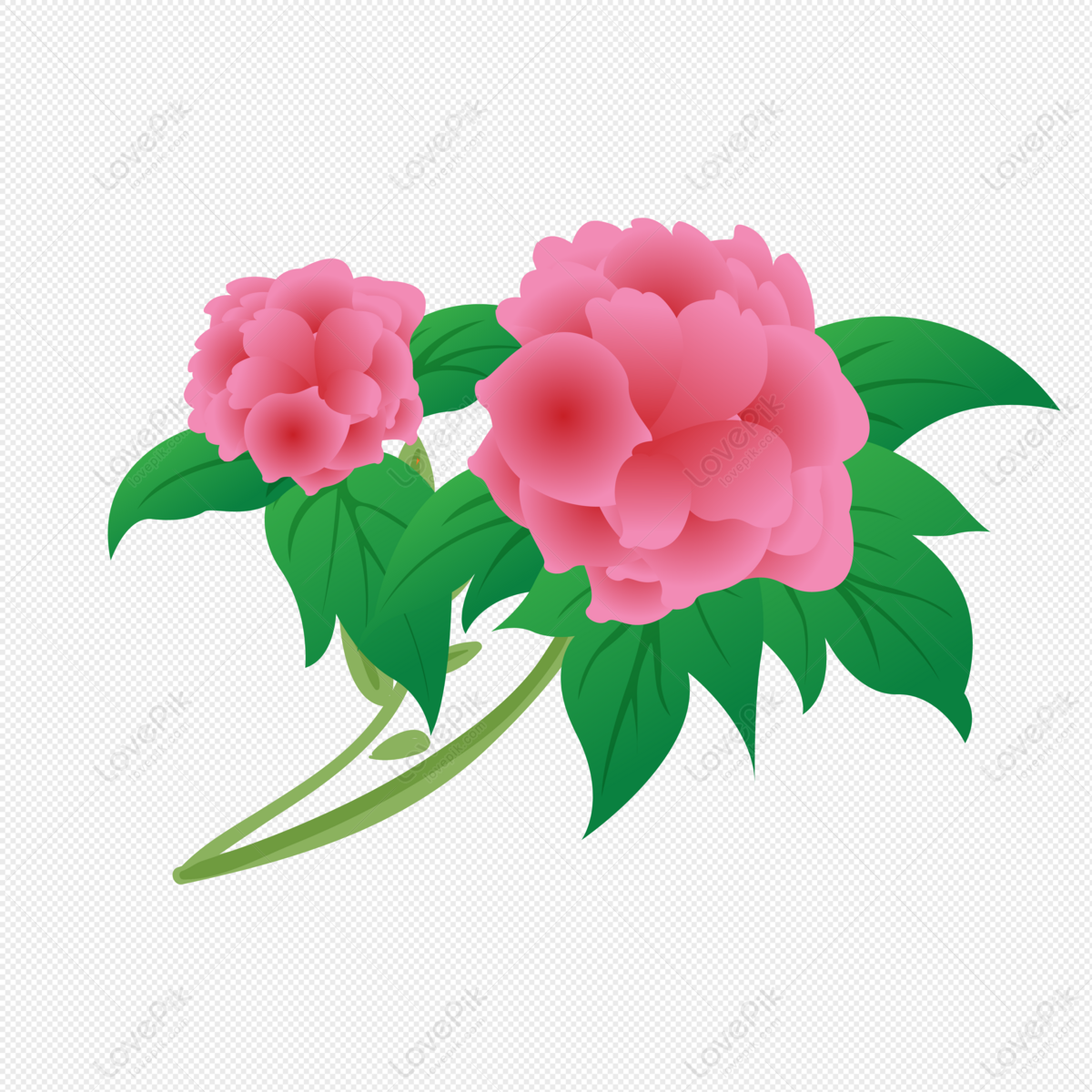 Detail Gambar Bunga Pink Png Gambar Gradasi Warna Merah Muda Png Nomer 12