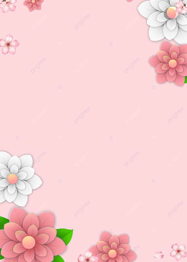 Detail Gambar Bunga Pink Png Gambar Gradasi Warna Merah Muda Png Nomer 5