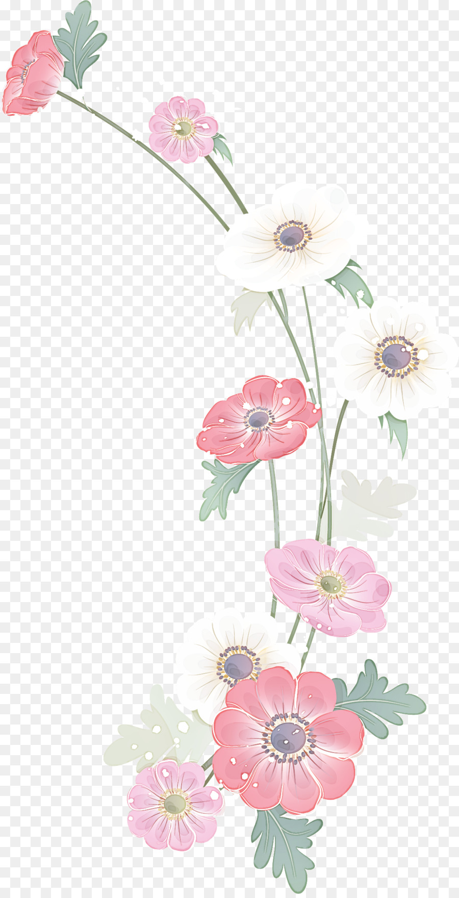 Detail Gambar Bunga Pink Png Gambar Lingkaran Garis Pink Png Nomer 35