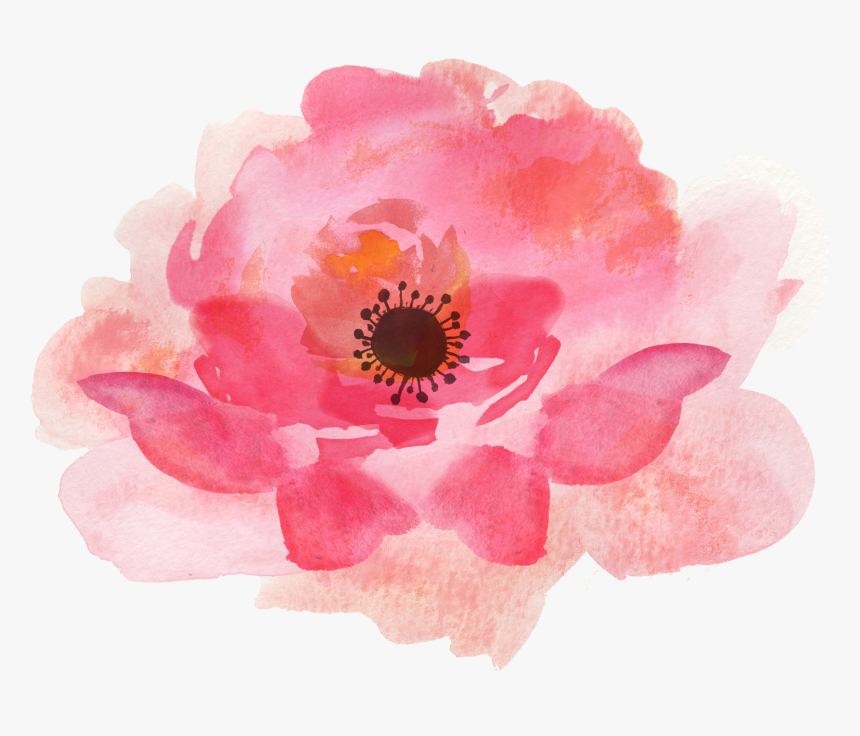 Detail Gambar Bunga Pink Png Gambar Watercolor Png Nomer 16