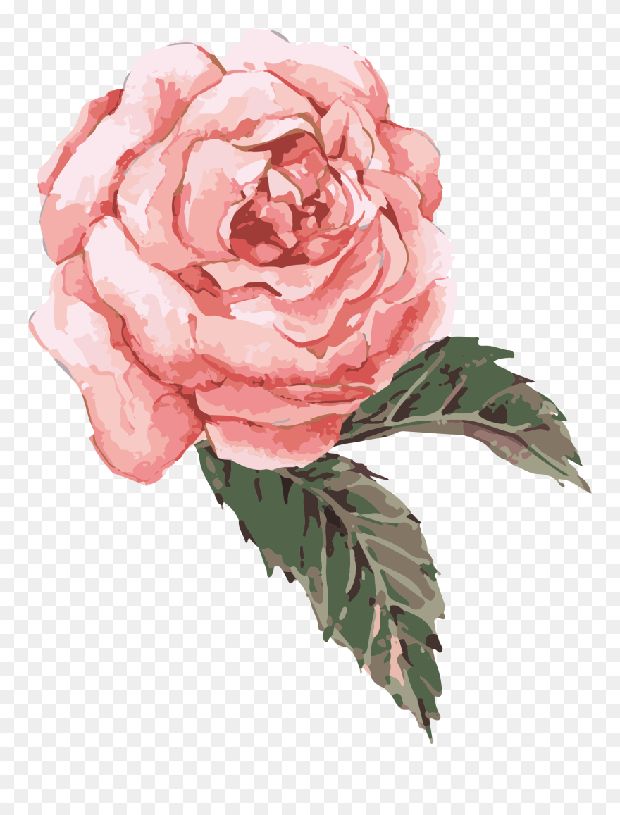 Detail Gambar Bunga Pink Png Gambar Watercolor Png Nomer 52
