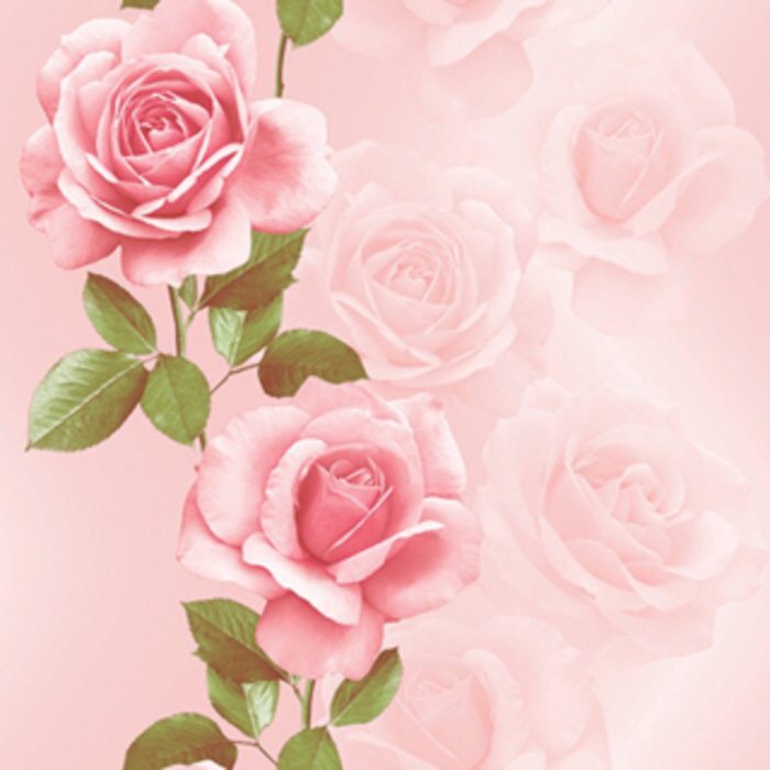 Detail Gambar Bunga Pink Wallpaper Nomer 4