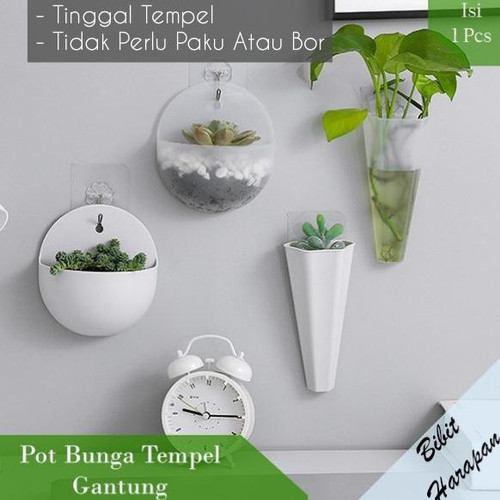 Detail Gambar Bunga Pot Hiasan Nomer 44