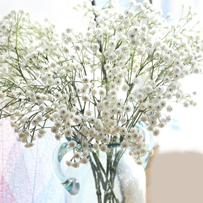 Detail Gambar Bunga Putih Kecil Nomer 7