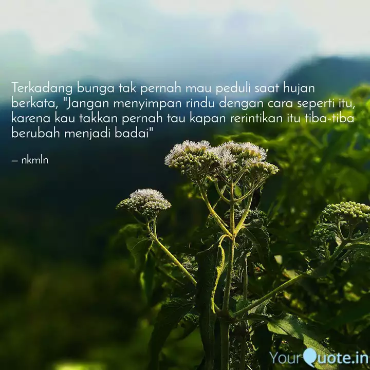 Detail Gambar Bunga Quotes Nomer 22