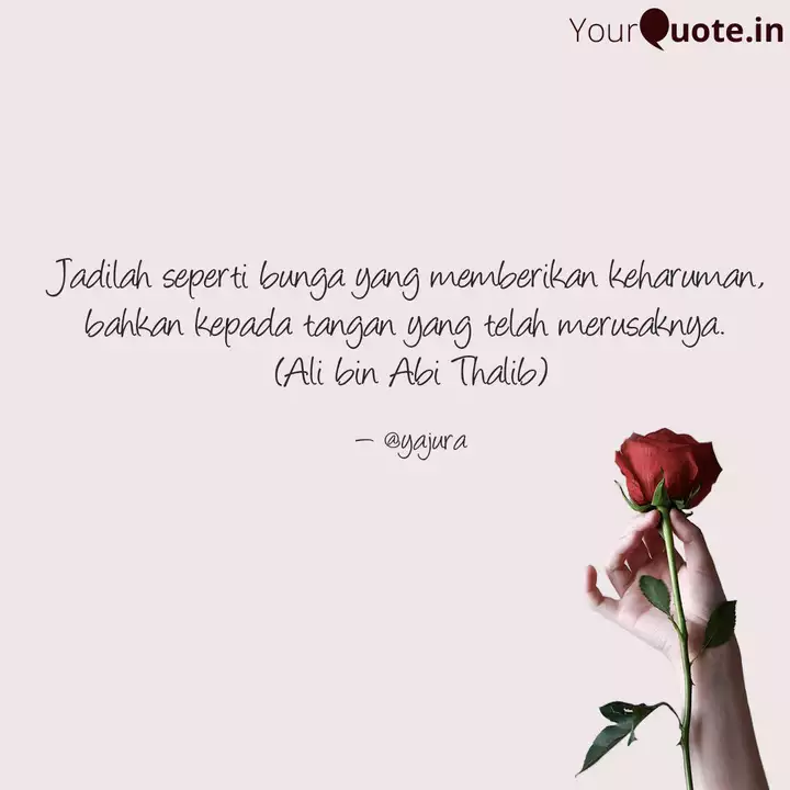 Detail Gambar Bunga Quotes Nomer 8