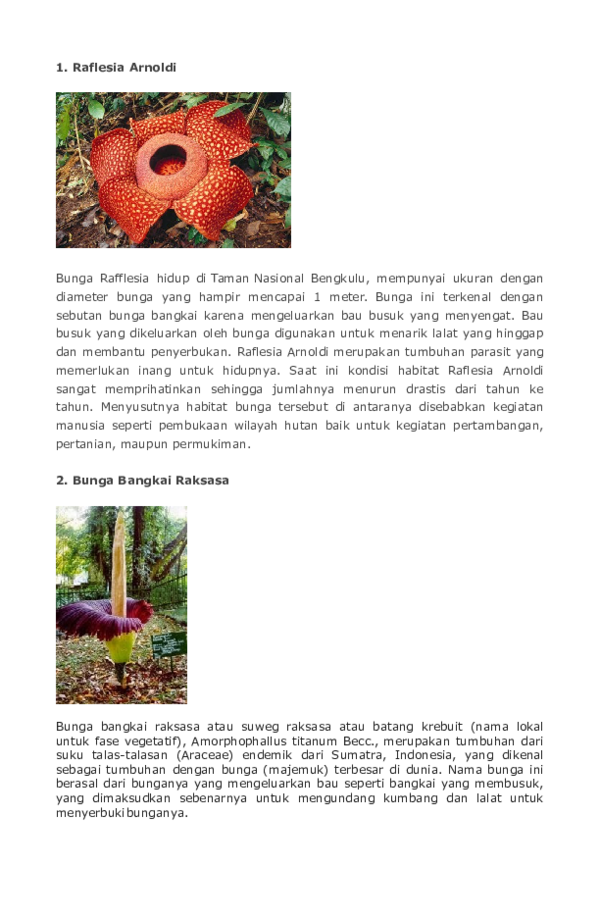 Detail Gambar Bunga Raflesia Arnoldi Dan Bunga Bangkai Nomer 38