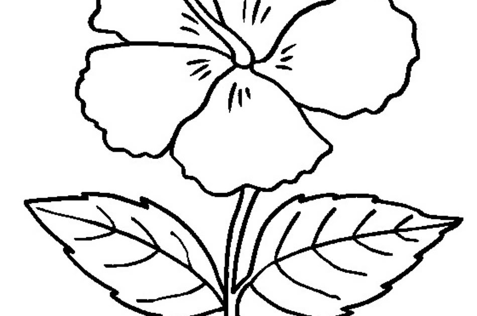 Detail Gambar Bunga Raflesia Hitam Putih Nomer 18