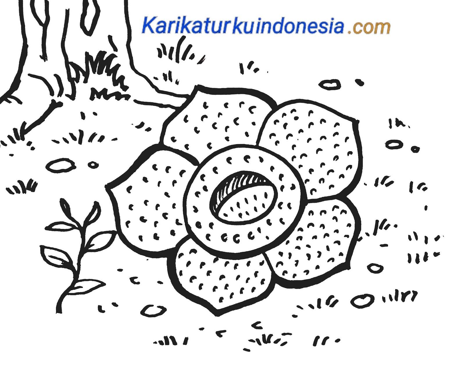 Detail Gambar Bunga Raflesia Kartun Nomer 21