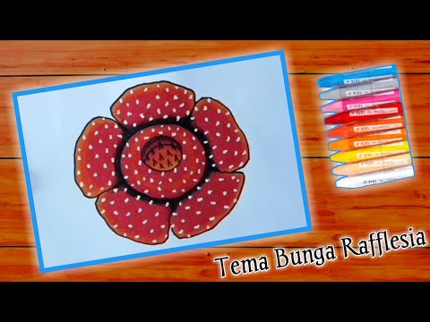 Gambar Bunga Raflesia Pakai Pensil - KibrisPDR