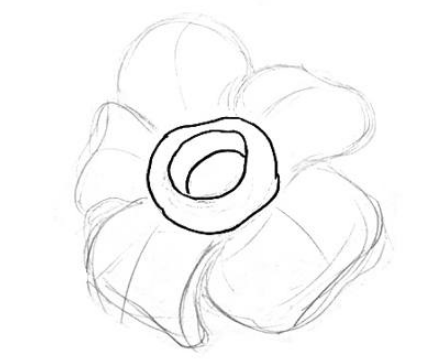Detail Gambar Bunga Raflesia Pakai Pensil Nomer 15