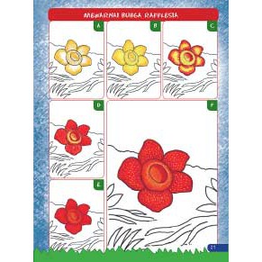 Detail Gambar Bunga Raflesia Pakai Pensil Nomer 16