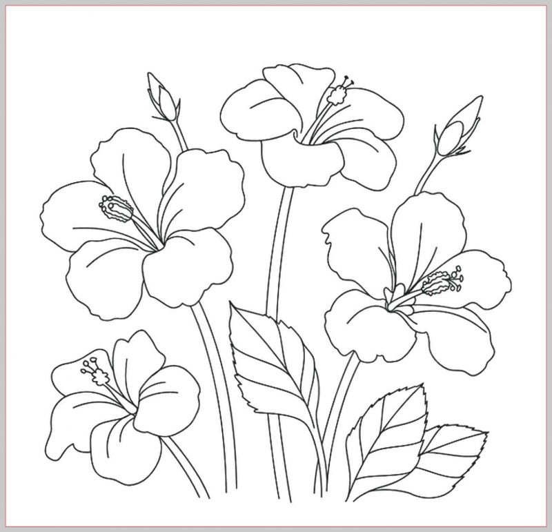 Detail Gambar Bunga Raflesia Pakai Pensil Nomer 21