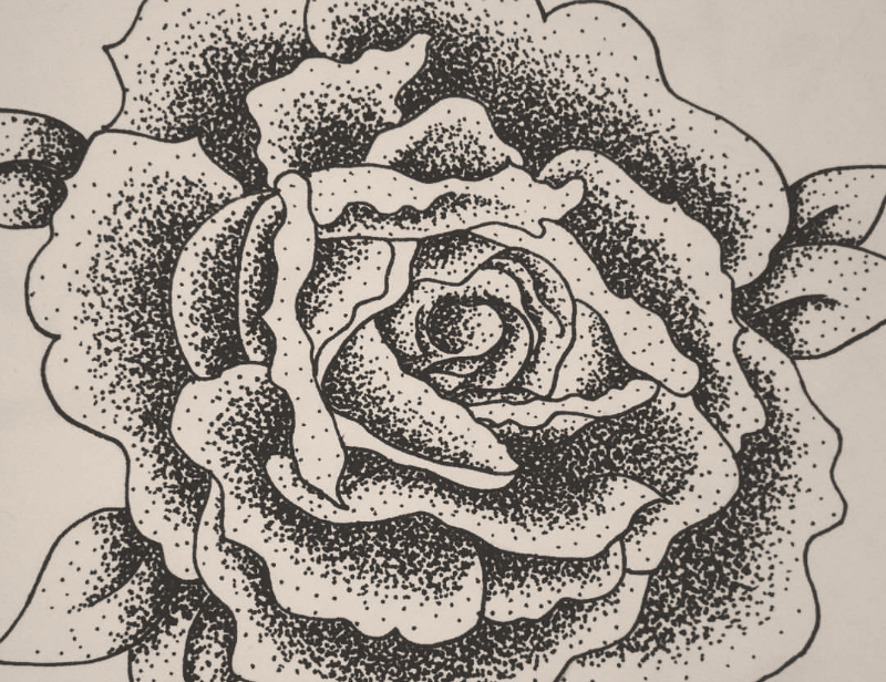 Detail Gambar Bunga Raflesia Pakai Pensil Nomer 39