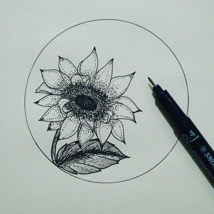 Detail Gambar Bunga Raflesia Pakai Pensil Nomer 44