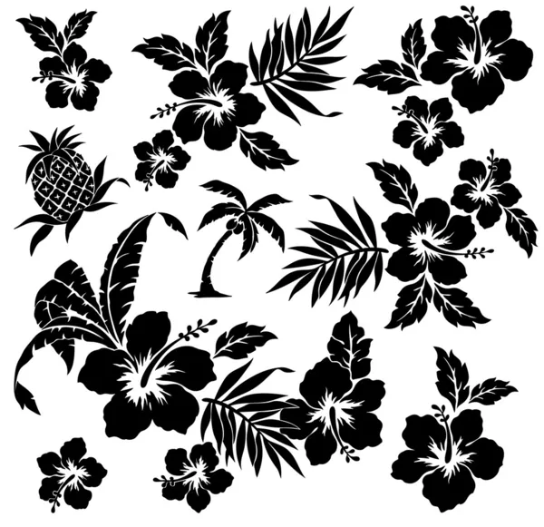 Detail Gambar Bunga Raya Black And White Nomer 36