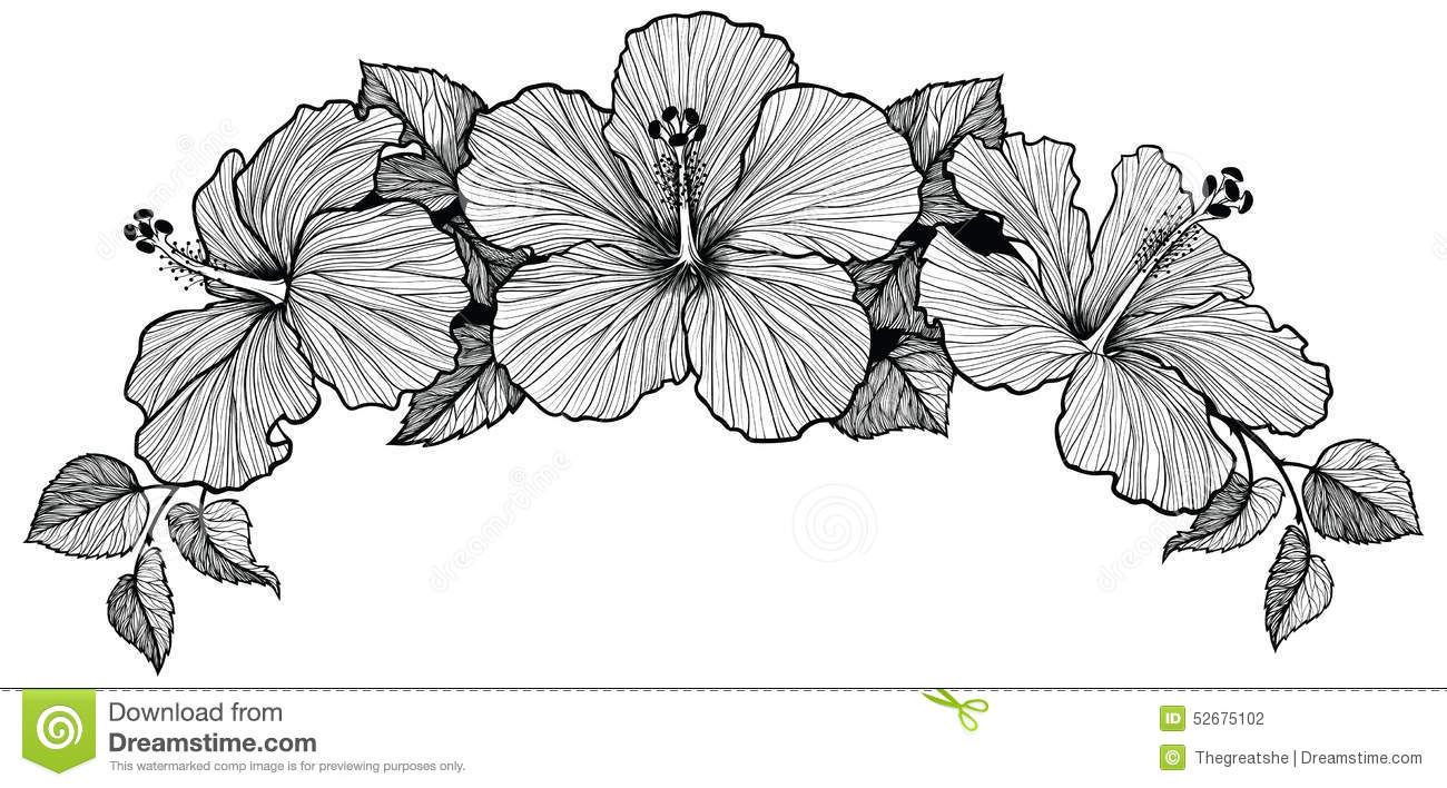 Detail Gambar Bunga Raya Black And White Nomer 6