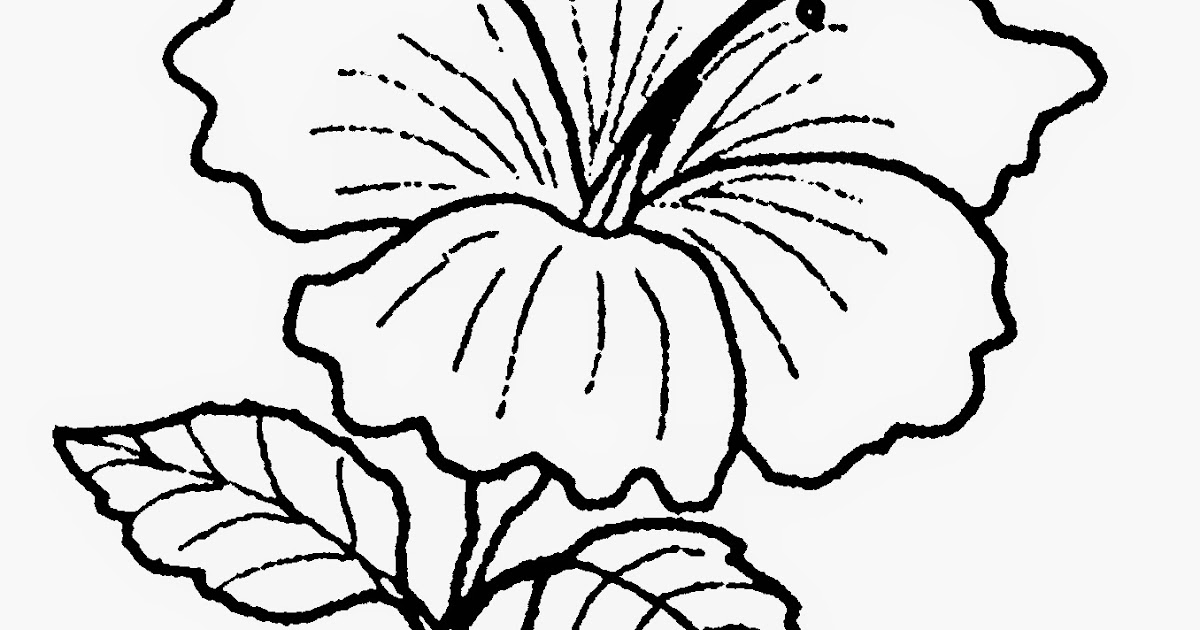 Detail Gambar Bunga Raya Kartun Nomer 43