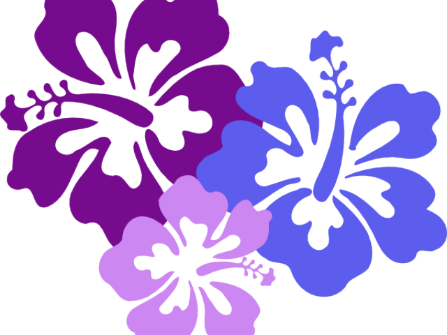 Detail Gambar Bunga Raya Ungu Nomer 22