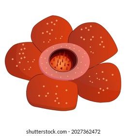 Detail Gambar Bunga Reflesia Nomer 48