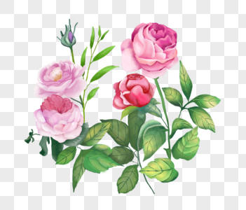 Detail Gambar Bunga Ros Lukisan Nomer 26