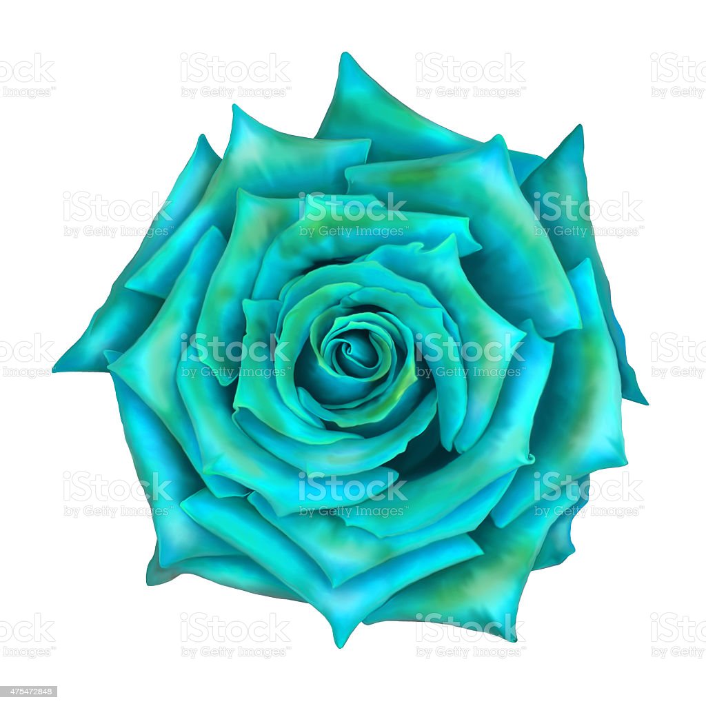 Detail Gambar Bunga Rose Hijau Nomer 47
