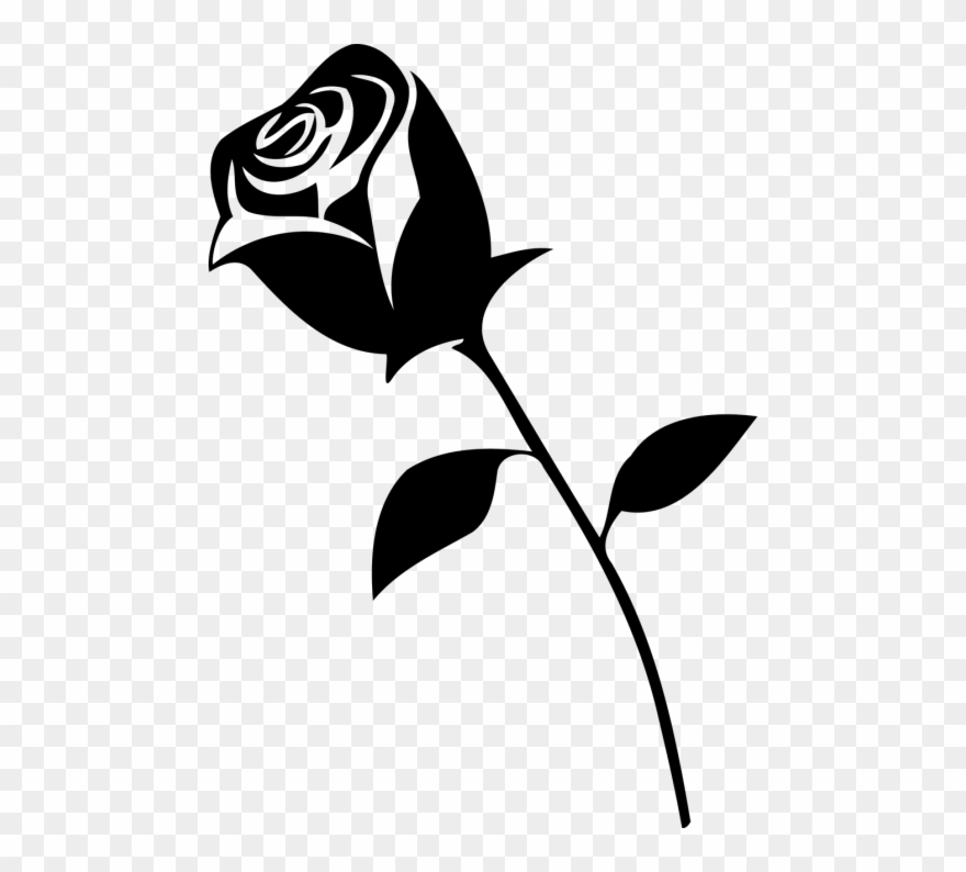 Gambar Bunga Rose Hitam Putih - KibrisPDR