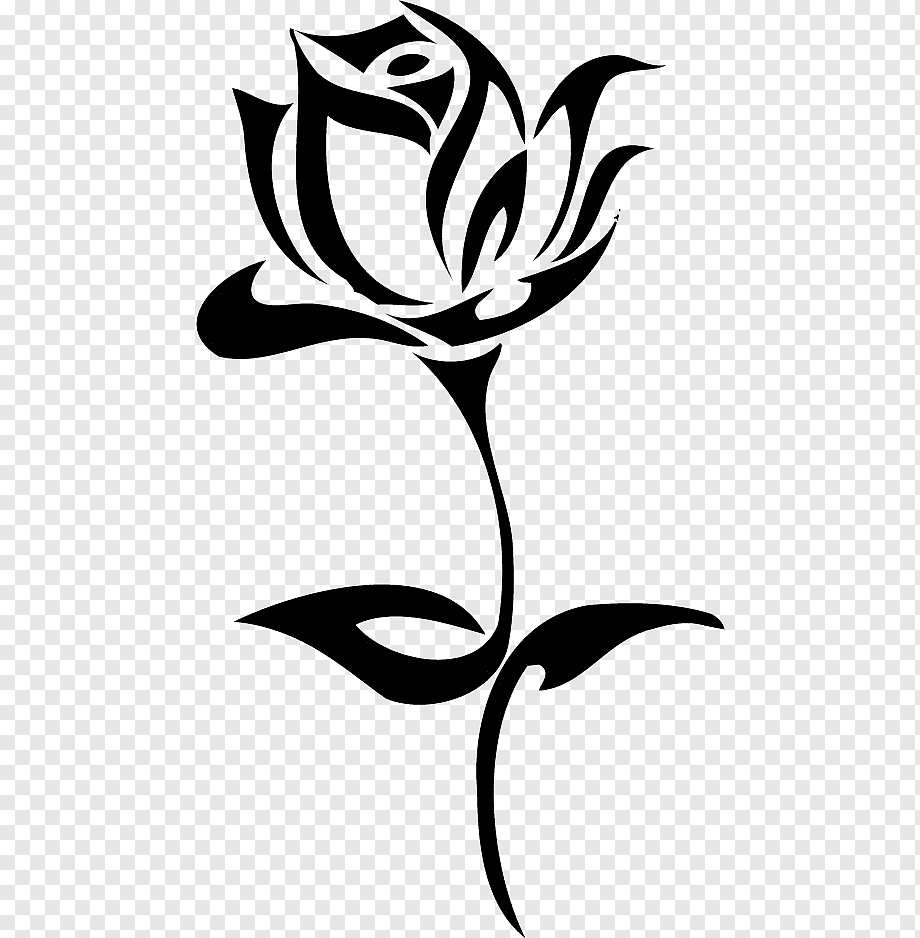 Detail Gambar Bunga Rose Hitam Putih Nomer 14