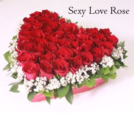 Detail Gambar Bunga Rose Love Nomer 9