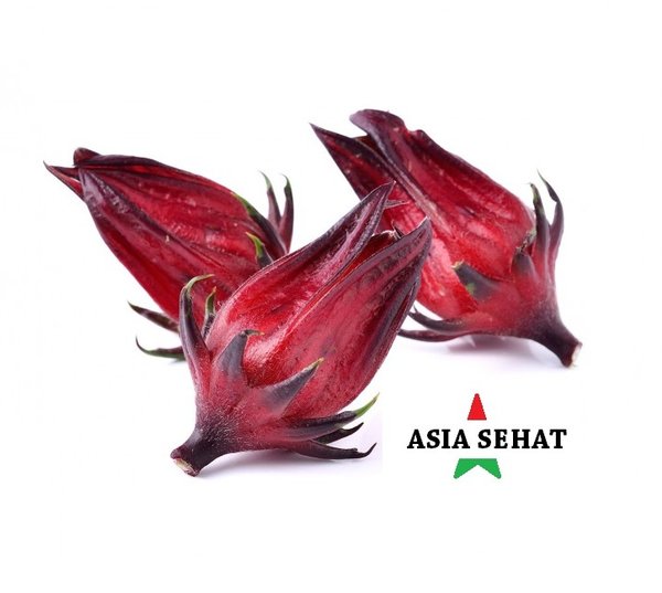 Detail Gambar Bunga Rosella Merah Nomer 26