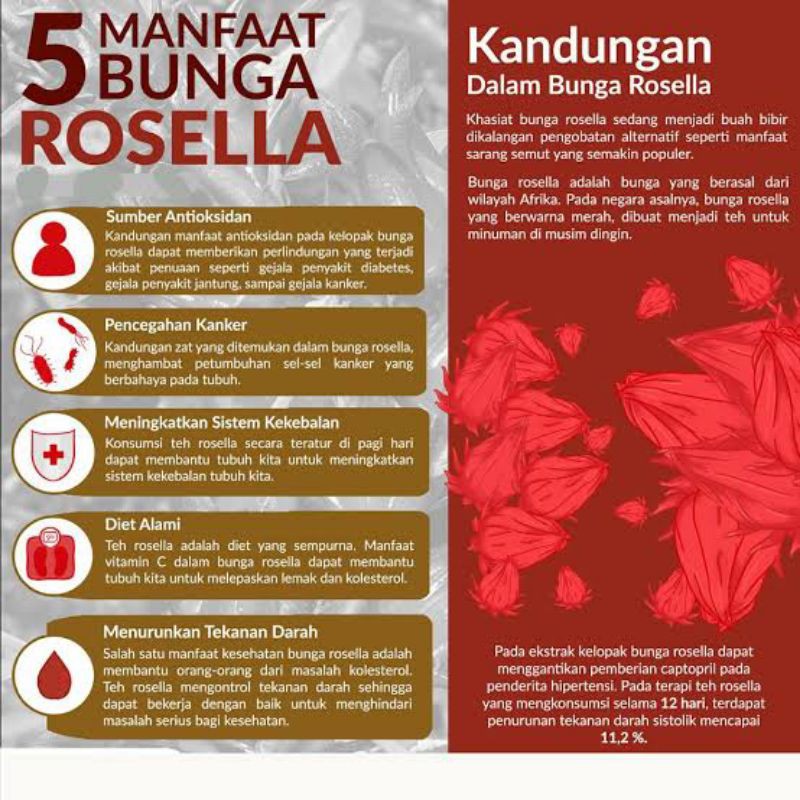 Detail Gambar Bunga Rosella Merah Nomer 36