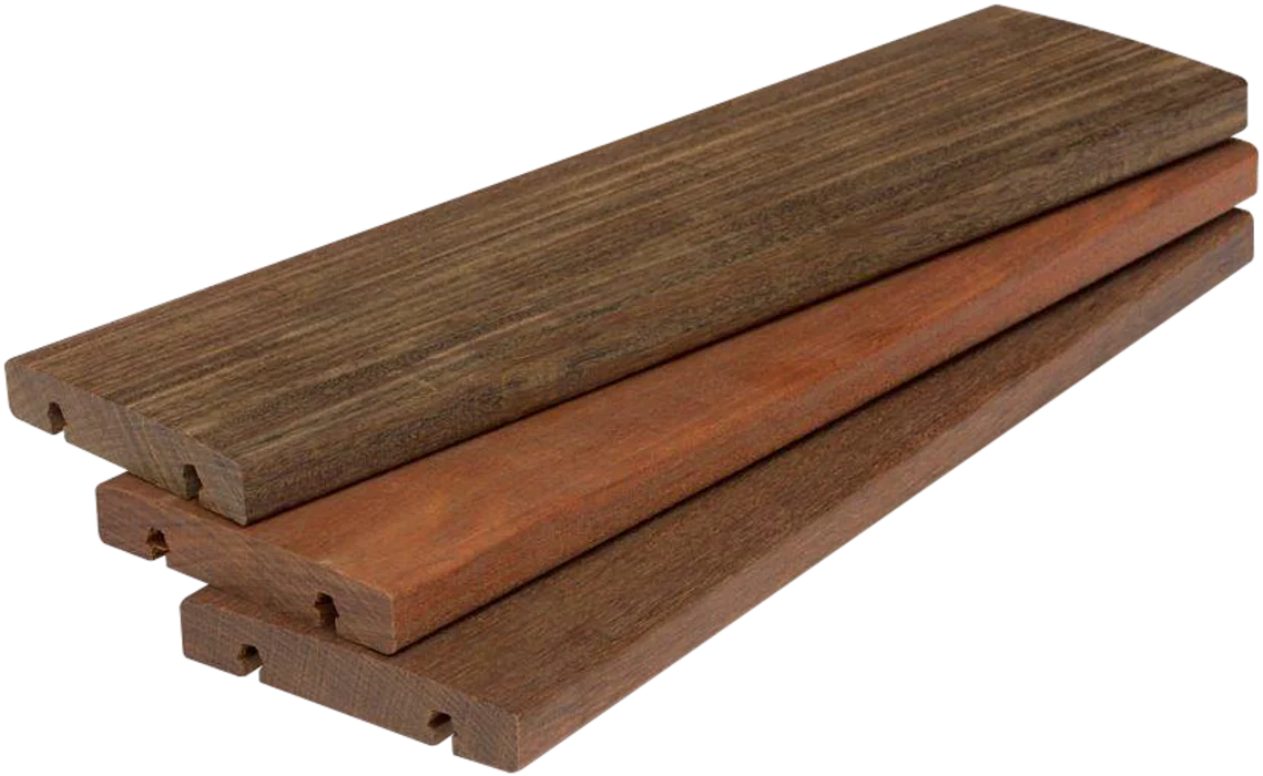 Detail Ipe Baum Nomer 4