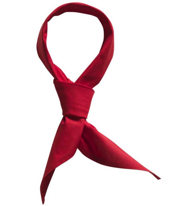 Detail Rotes Halstuch Nomer 10