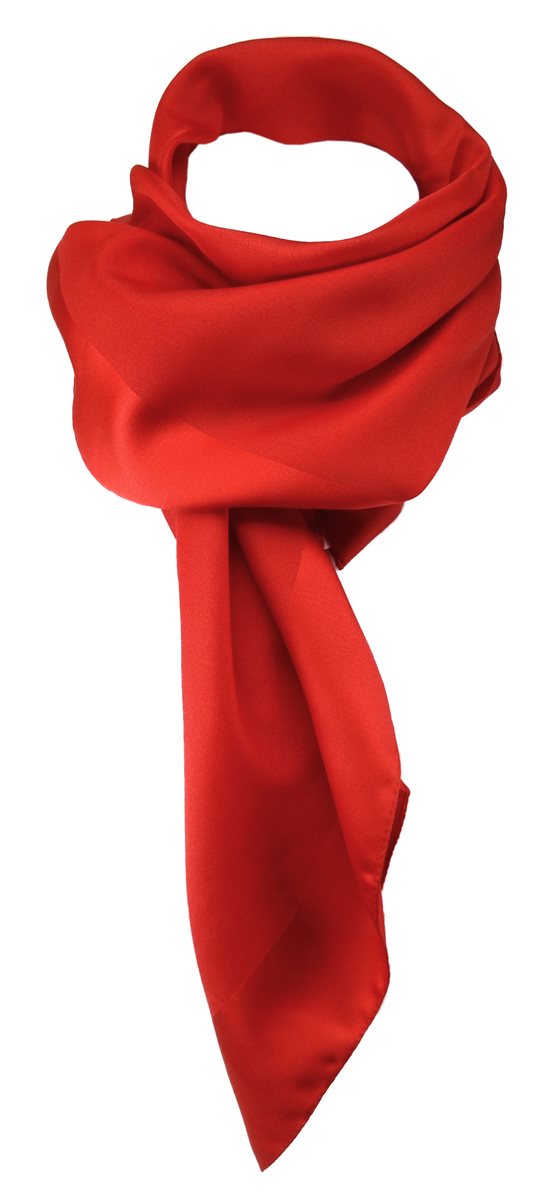 Detail Rotes Halstuch Nomer 12