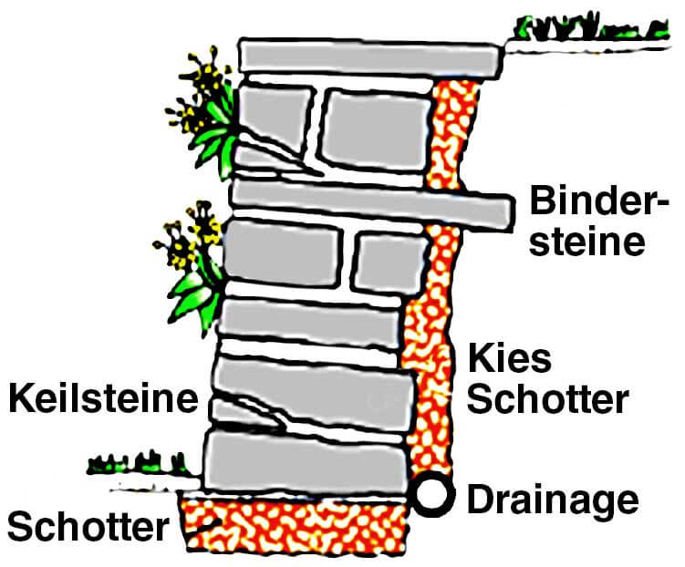 Detail Bilder Natursteinmauer Nomer 6