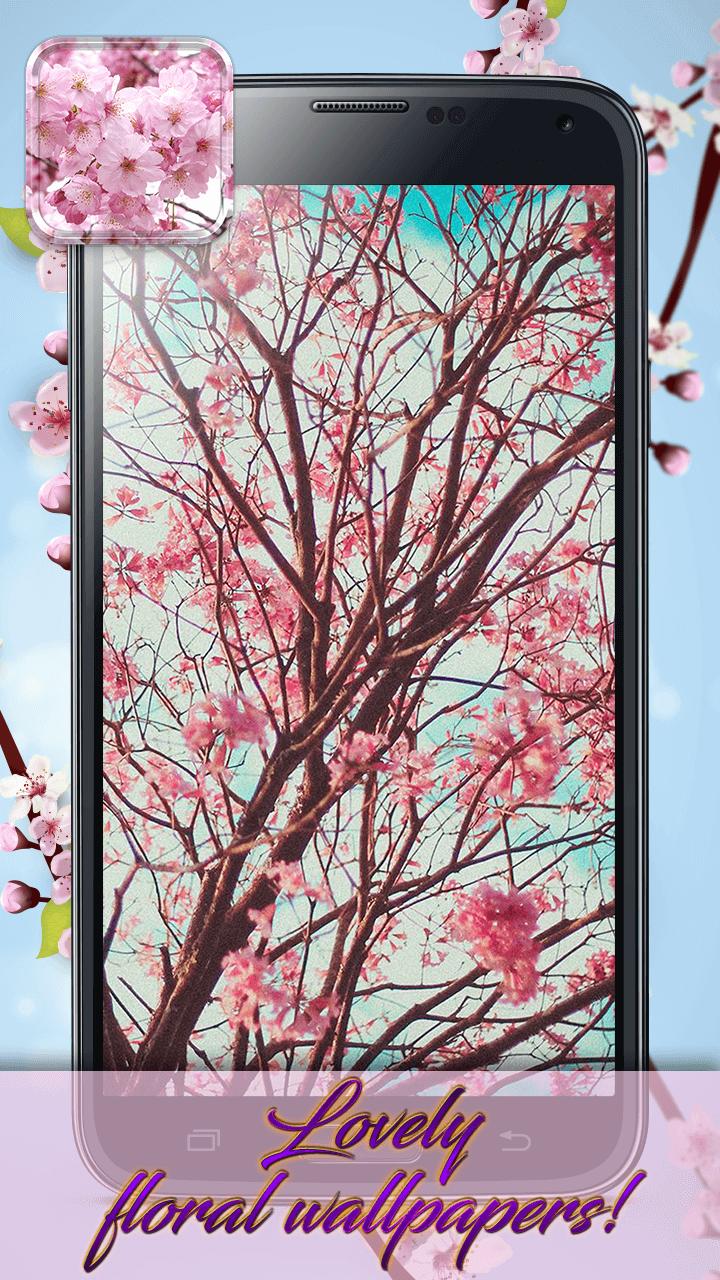 Detail Gambar Bunga Sakura Bergerak Nomer 40
