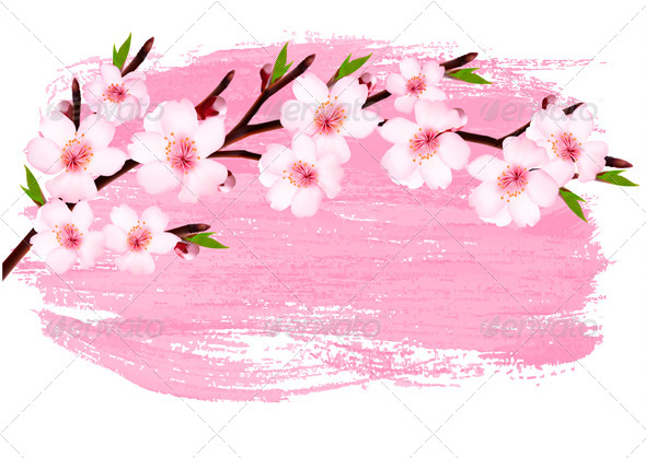 Detail Gambar Bunga Sakura Bergerak Nomer 55
