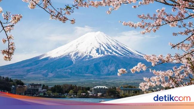 Detail Gambar Bunga Sakura Dan Gunung Fuji Nomer 23