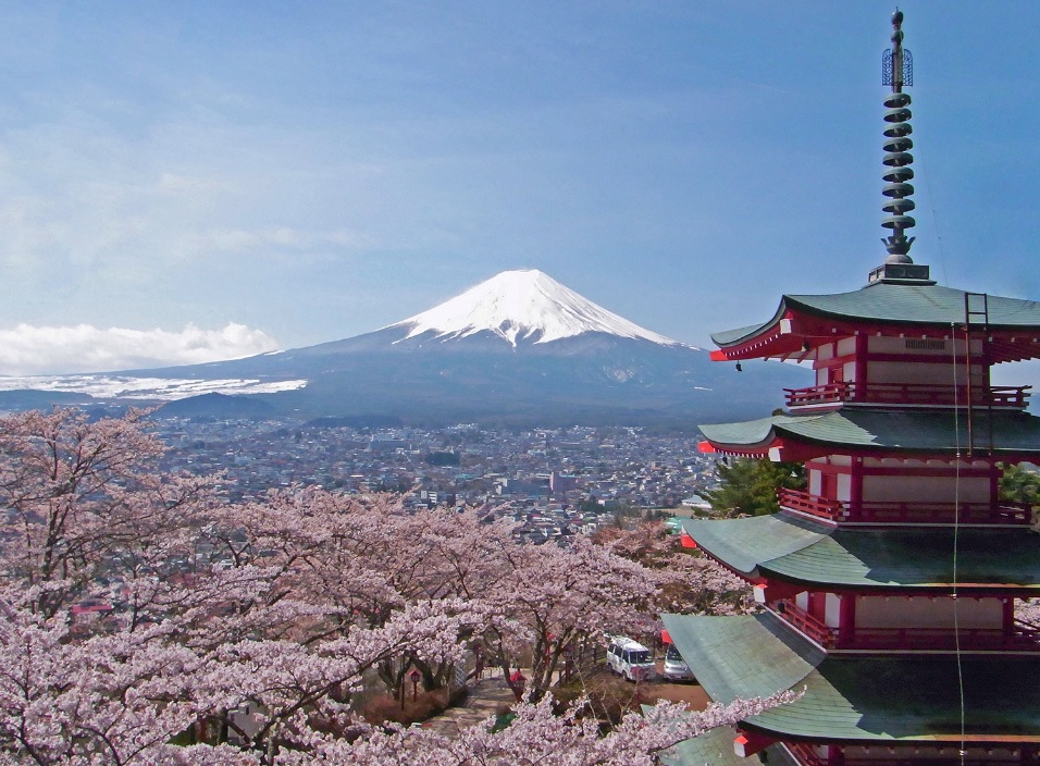 Detail Gambar Bunga Sakura Dan Gunung Fuji Nomer 7