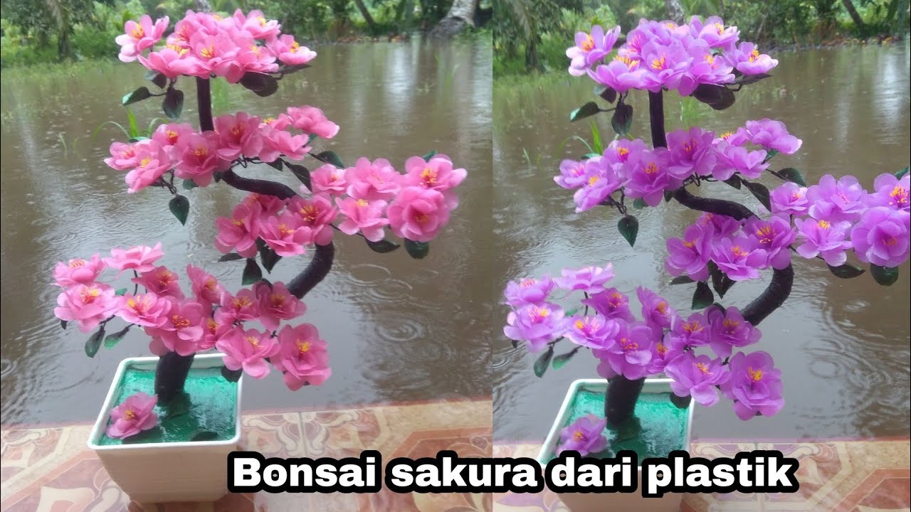 Detail Gambar Bunga Sakura Dari Kresek Nomer 24