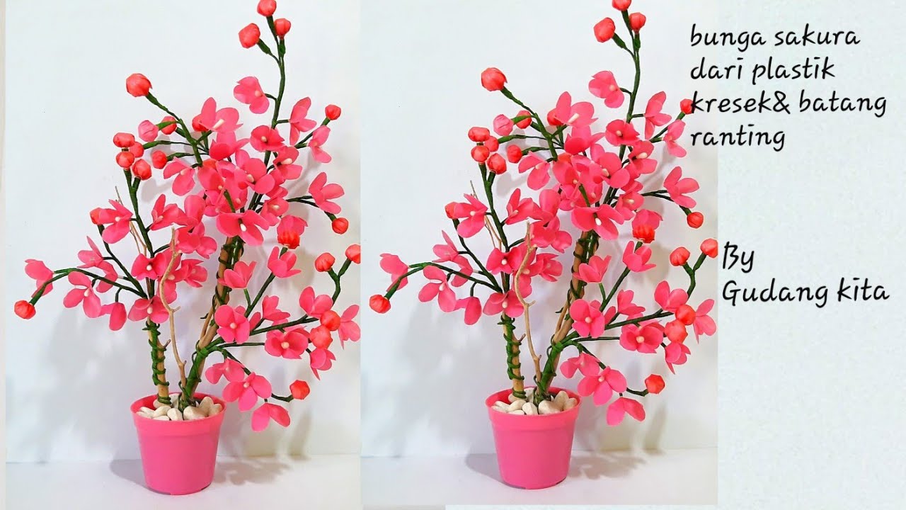 Detail Gambar Bunga Sakura Dari Kresek Nomer 31