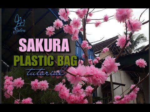 Detail Gambar Bunga Sakura Dari Kresek Nomer 41