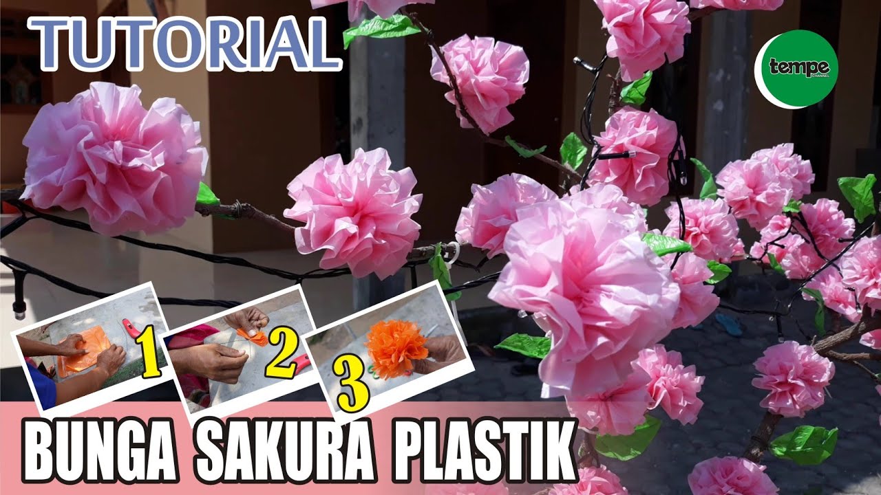 Detail Gambar Bunga Sakura Dari Kresek Nomer 49