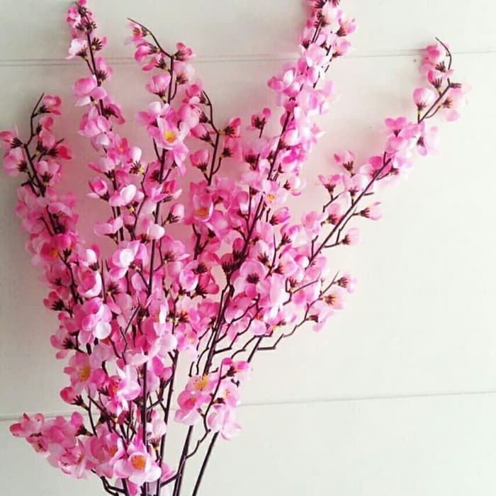 Detail Gambar Bunga Sakura Dari Plastik Nomer 38