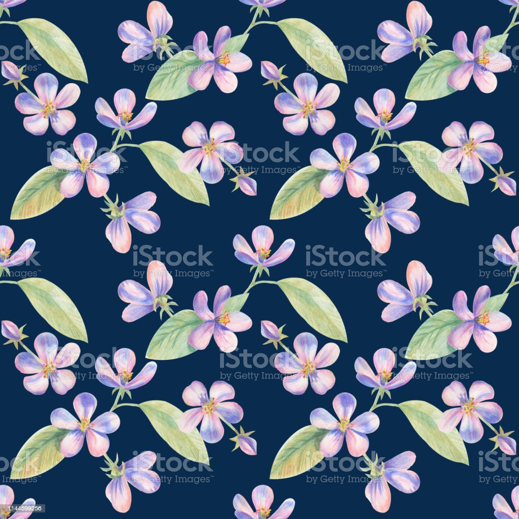 Detail Gambar Bunga Sakura Dengan Pensil Nomer 53